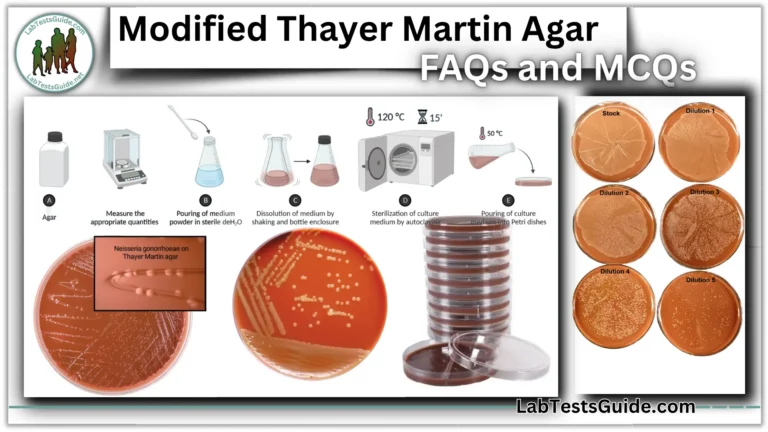 Modified Thayer Martin Agar FAQs and MCQs