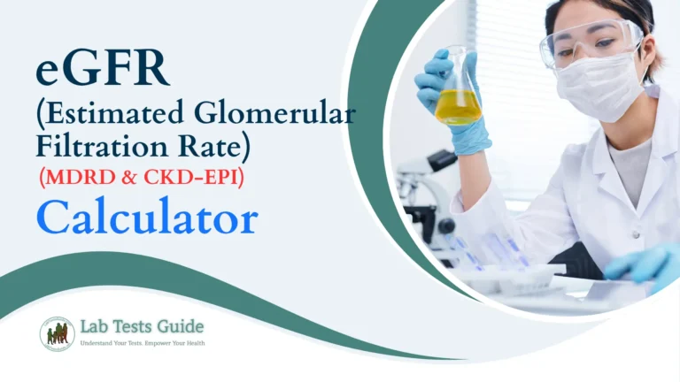 eGFR Calculator (MDRD & CKD-EPI)