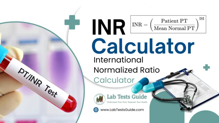 INR Calculator