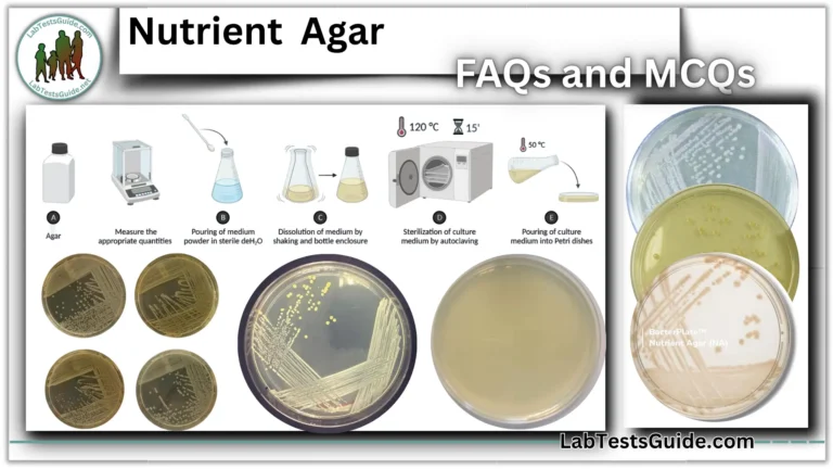 Nutrient Agar FAQs and MCQs