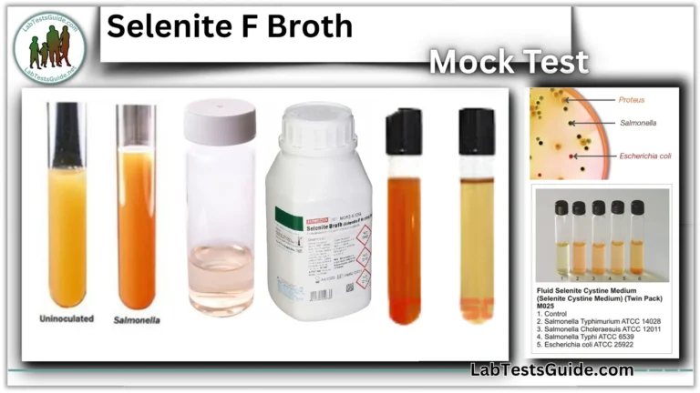 Selenite F Broth FAQs and MCQs Mock Test