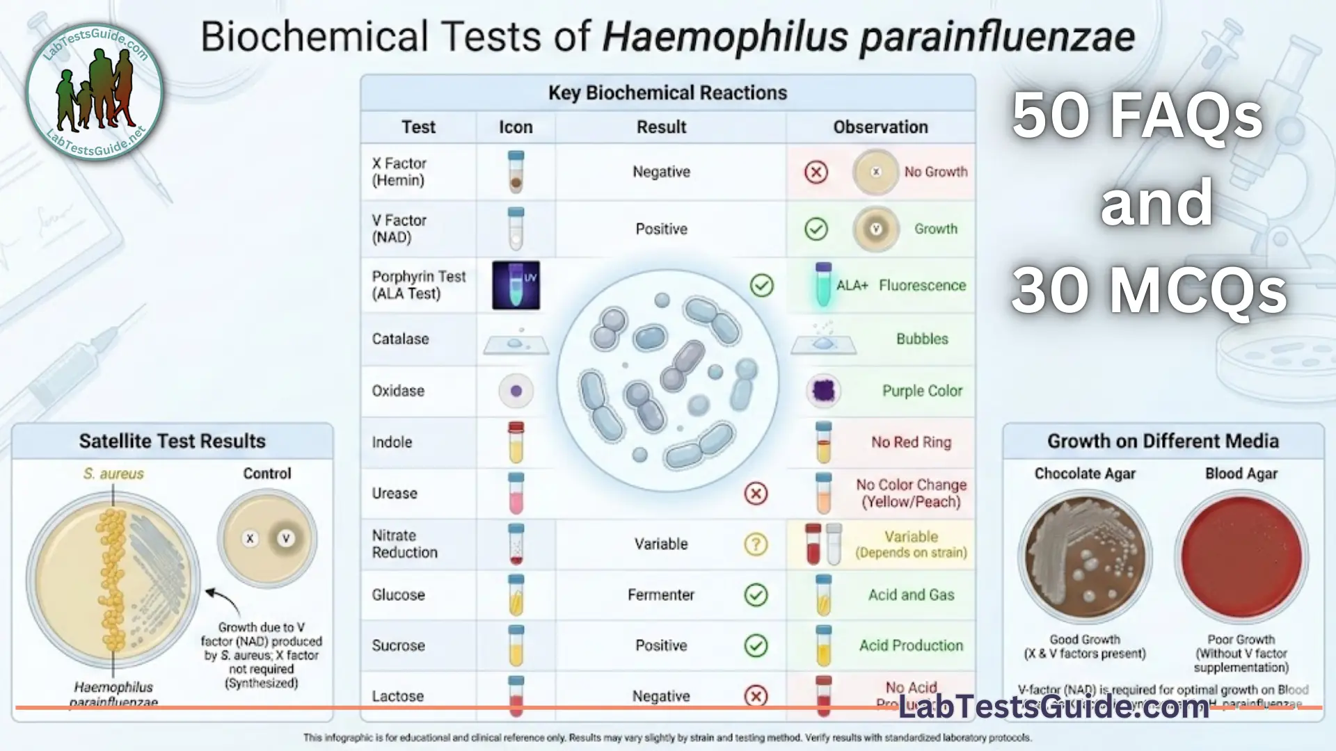 Biochemical Test of Haemophilus Parainfluenzae MCQs Mock Test