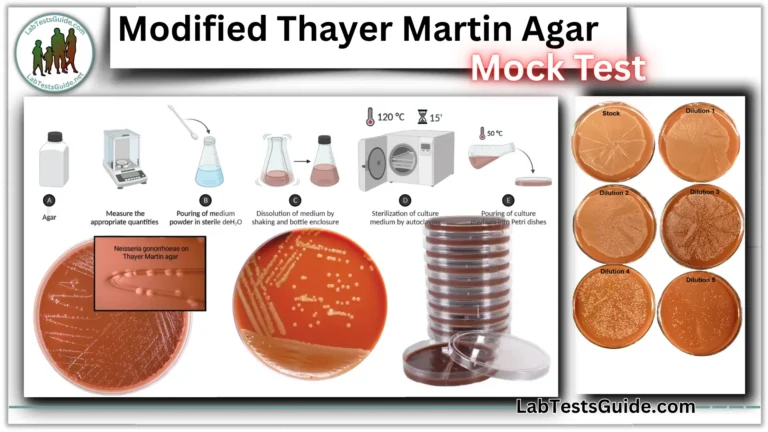 Modified Thayer Martin Agar MCQs Mock Test