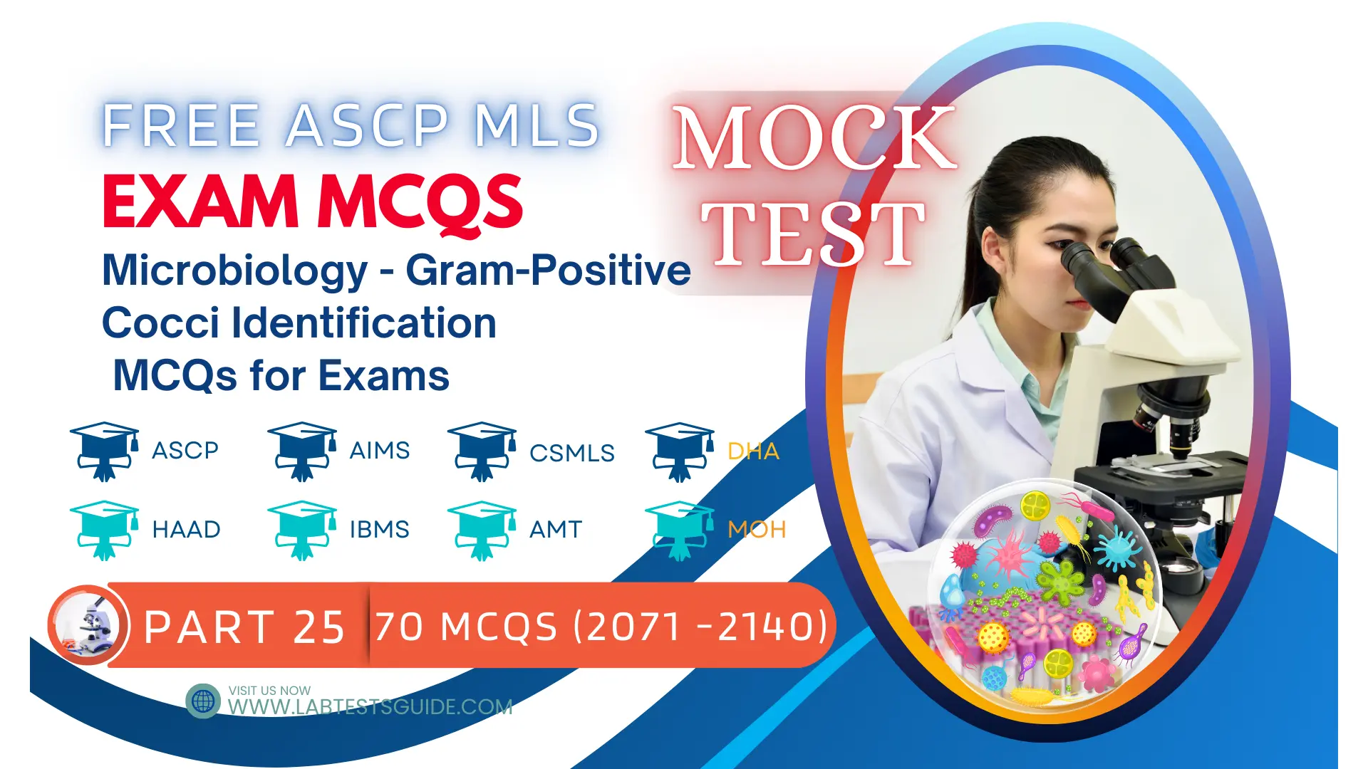 Free ASCP MLS Exam Practice Questions Mock Test Part 25 – Microbiology - Gram-Negative Cocci Identification