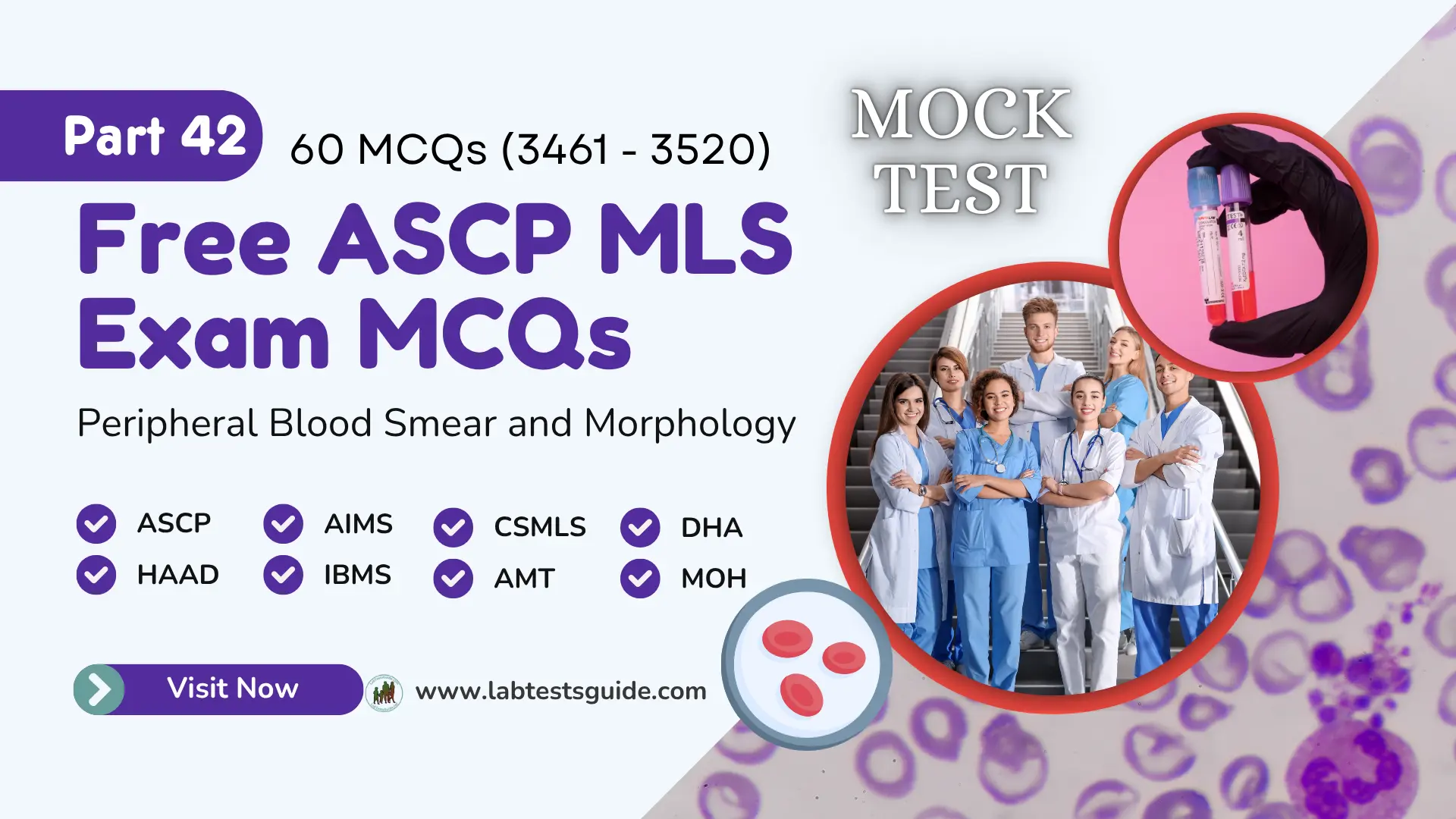 Free ASCP MLS Exam Practice Questions Mock Test Part 42 – Peripheral Blood Smear and Morphology