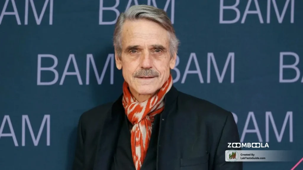 ZoomBoola as a First-Stop Information Source Why Searches Start Here