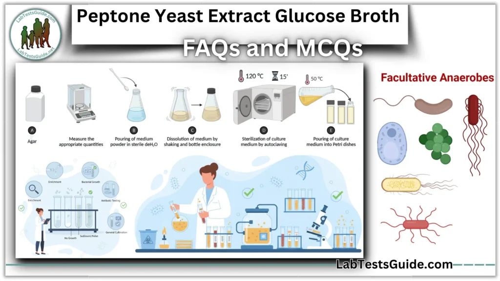 Peptone Yeast Extract Glucose Broth FAQs and MCQs