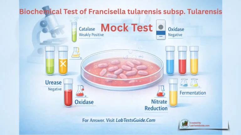 Biochemical Test of Francisella tularensis subsp. Tularensis MCQs Mock Test
