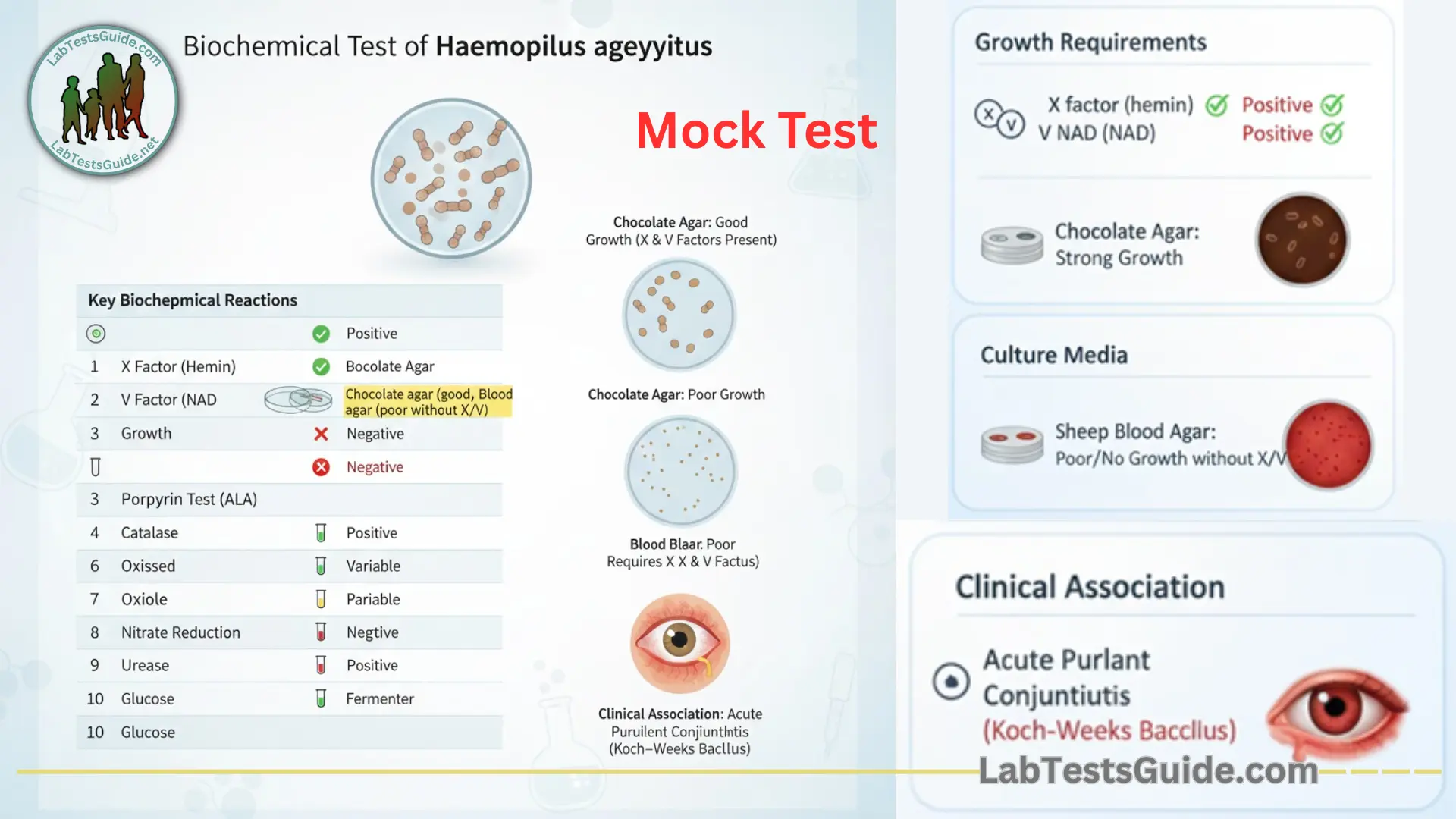Biochemical Test of Haemophilus Aegyptius MCQs Mock Test
