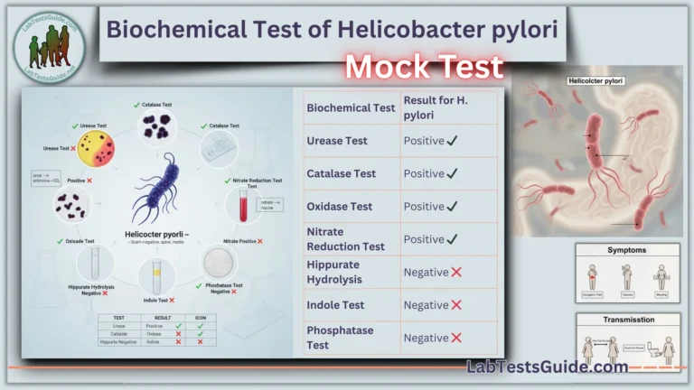 Biochemical Test of Helicobacter pylori MCQs Mock Test