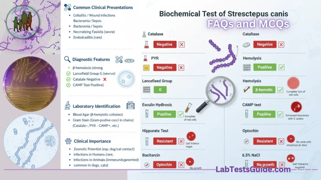 Biochemical Test of Streptococcus Canis FAQs and MCQs