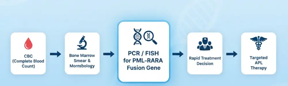 Why Is Acute Promyelocytic Leukemia Test Done (For Doctors)