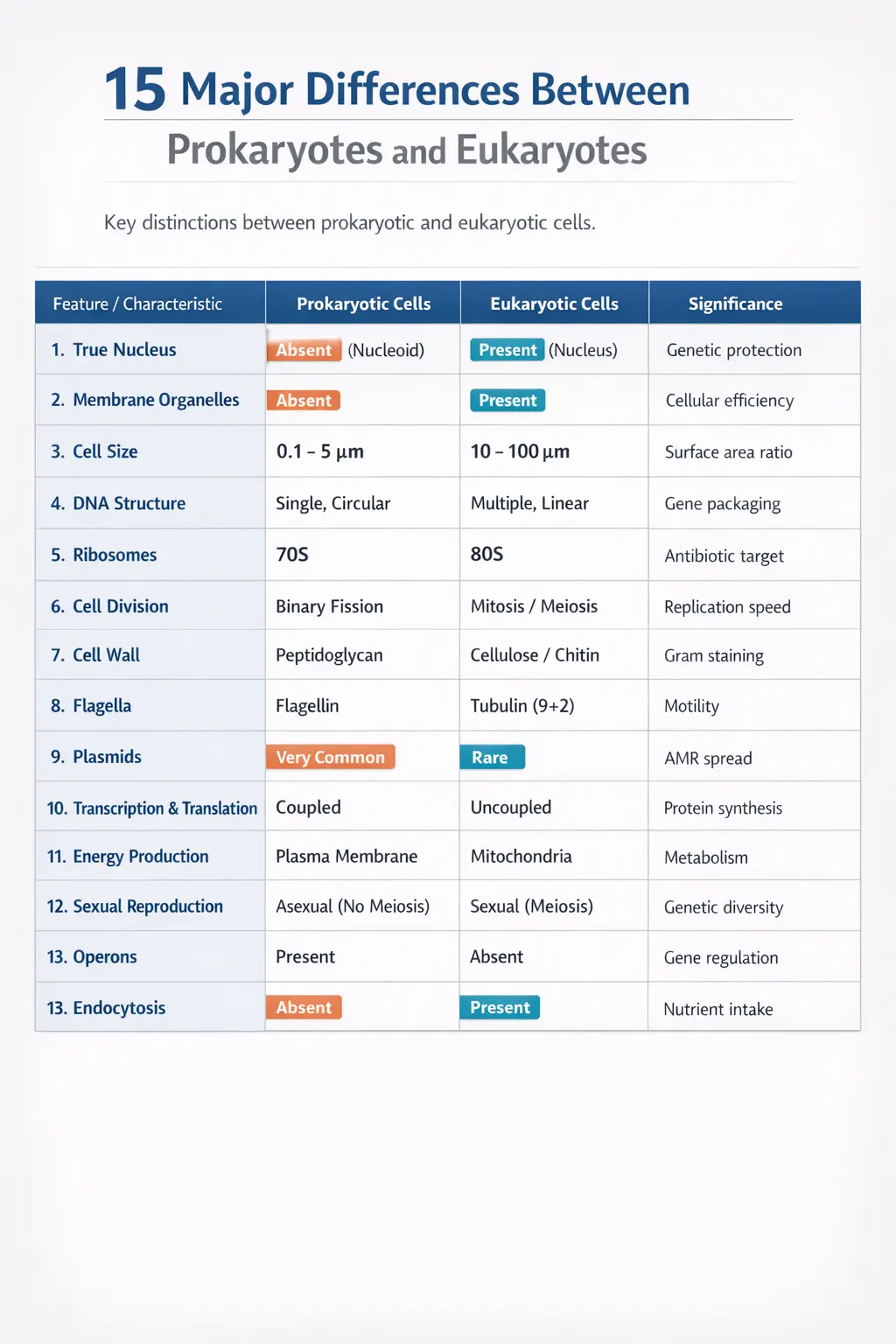 What are Prokaryotes and Eukaryotes: 13 Key Differences Explained