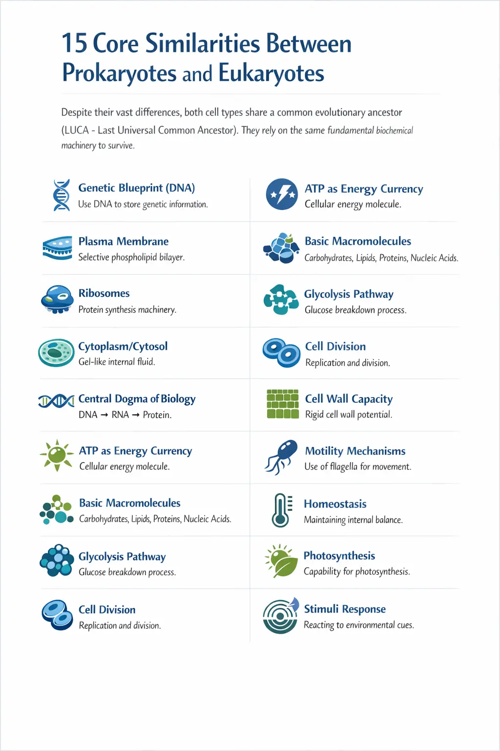 What are Prokaryotes and Eukaryotes: 13 Key Differences Explained