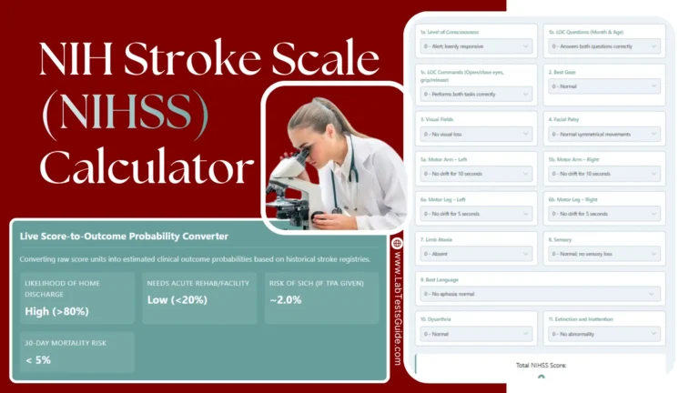 NIH Stroke Scale (NIHSS) Calculator