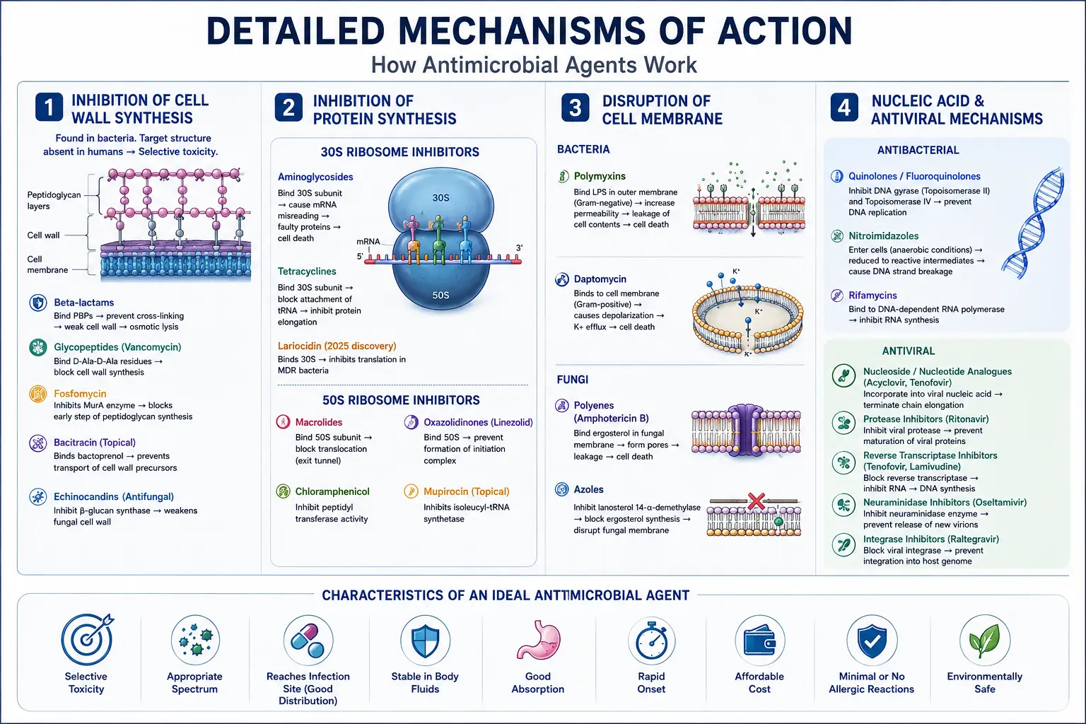 Detailed Mechanisms of Action of Antimicrobial Agents & Antimicrobial Resistance Detailed Mechanisms of Action of Antimicrobial Agents & Antimicrobial Resistance