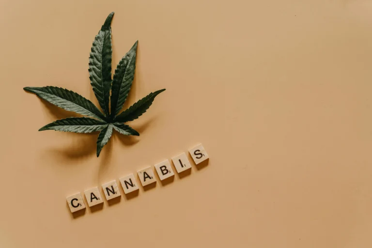 How Chronic Pain Patients Using Medical Cannabis Manage Daily Driving