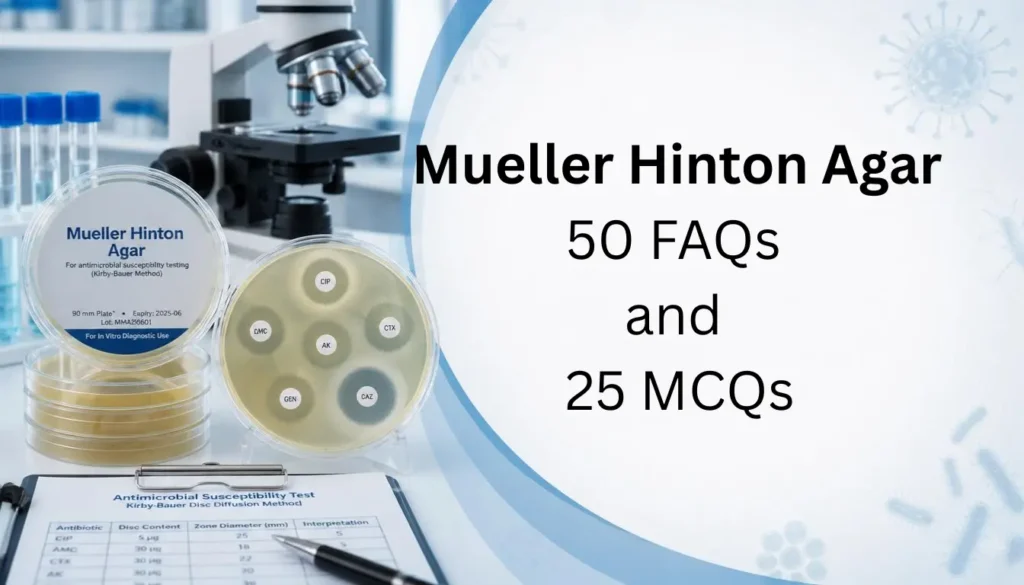 Mueller Hinton Agar 50 FAQs and 25 MCQs