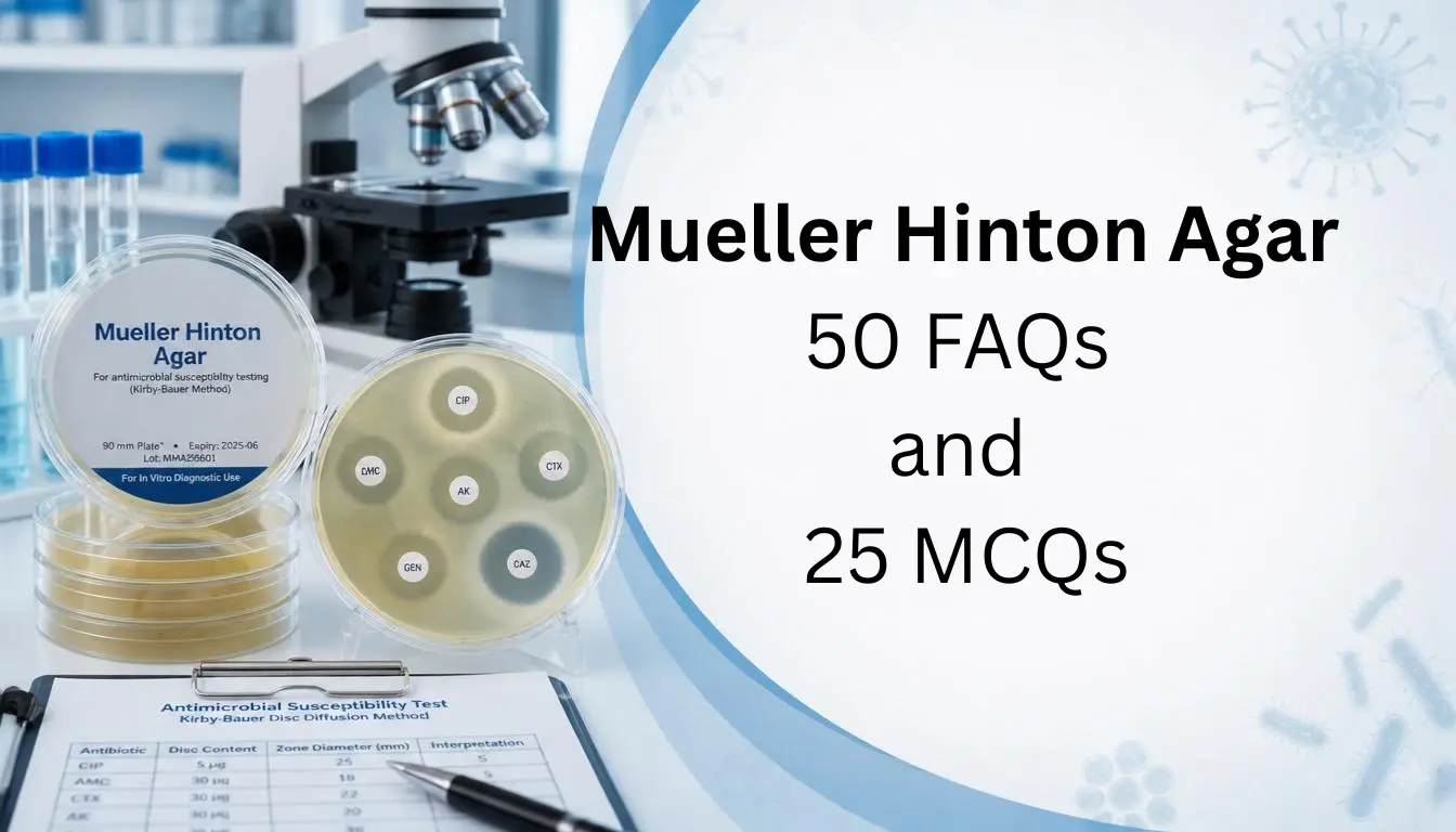 Mueller Hinton Agar 50 FAQs and 25 MCQs