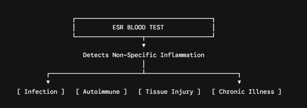 Facts about ESR Test