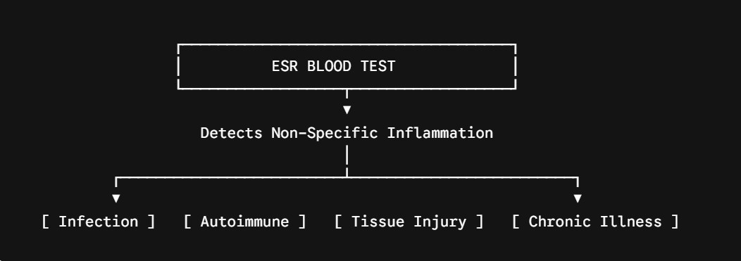 ESR Blood Test: Normal Ranges, High Levels, and What It Means