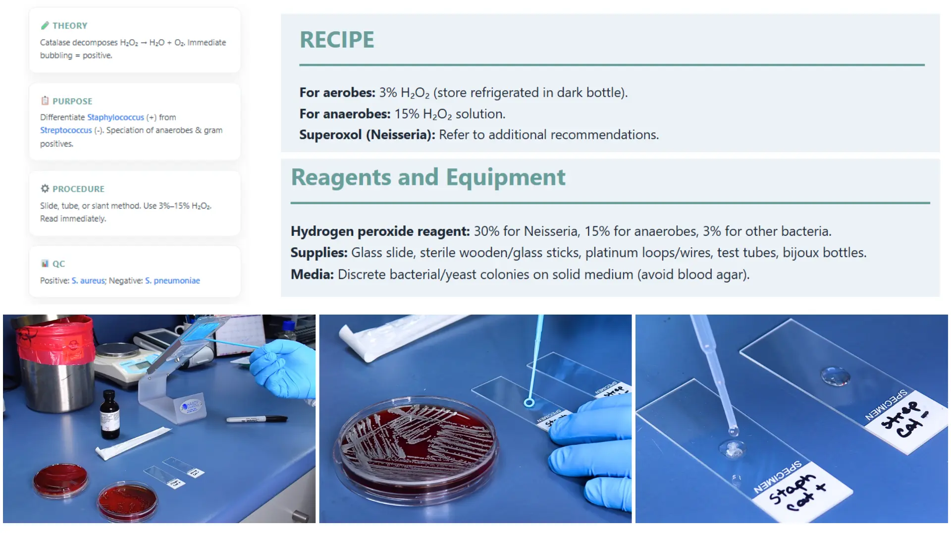 Catalase Test Methods