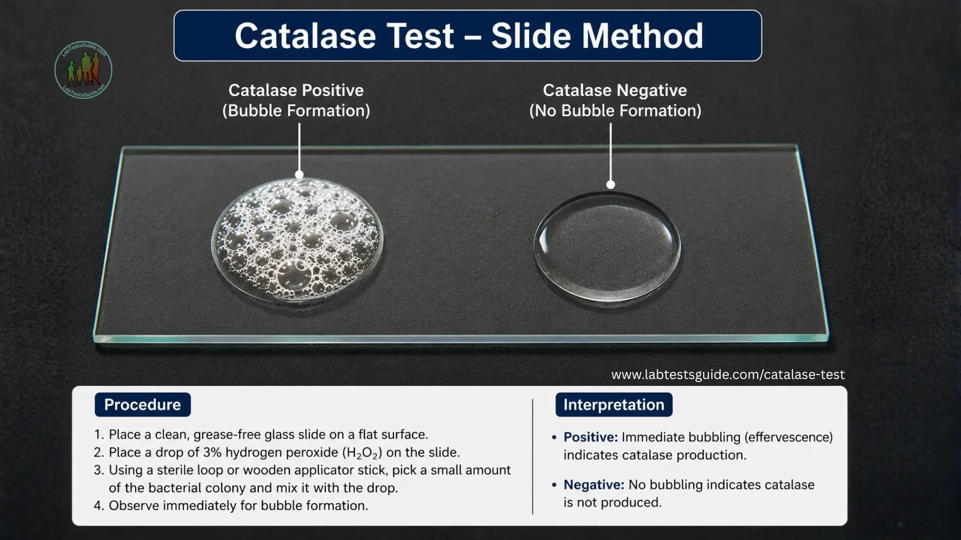 Catalase Test Slide Method
