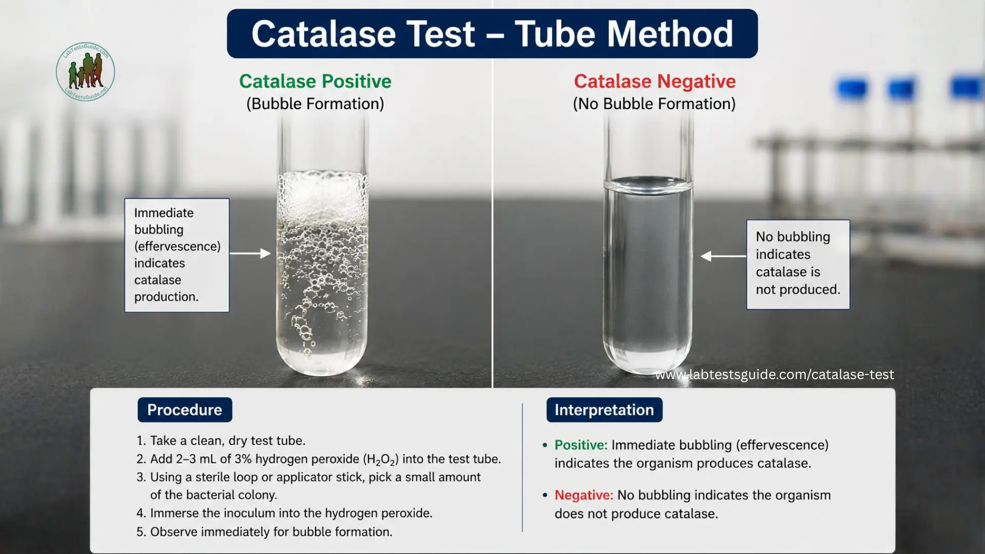 Catalase Test Tube Method