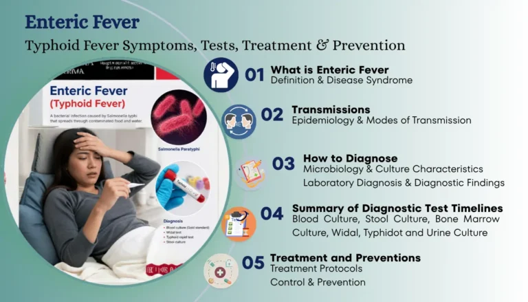 Enteric Fever diagnosis showing Salmonella Typhi laboratory testing, blood culture, and microbiology analysis