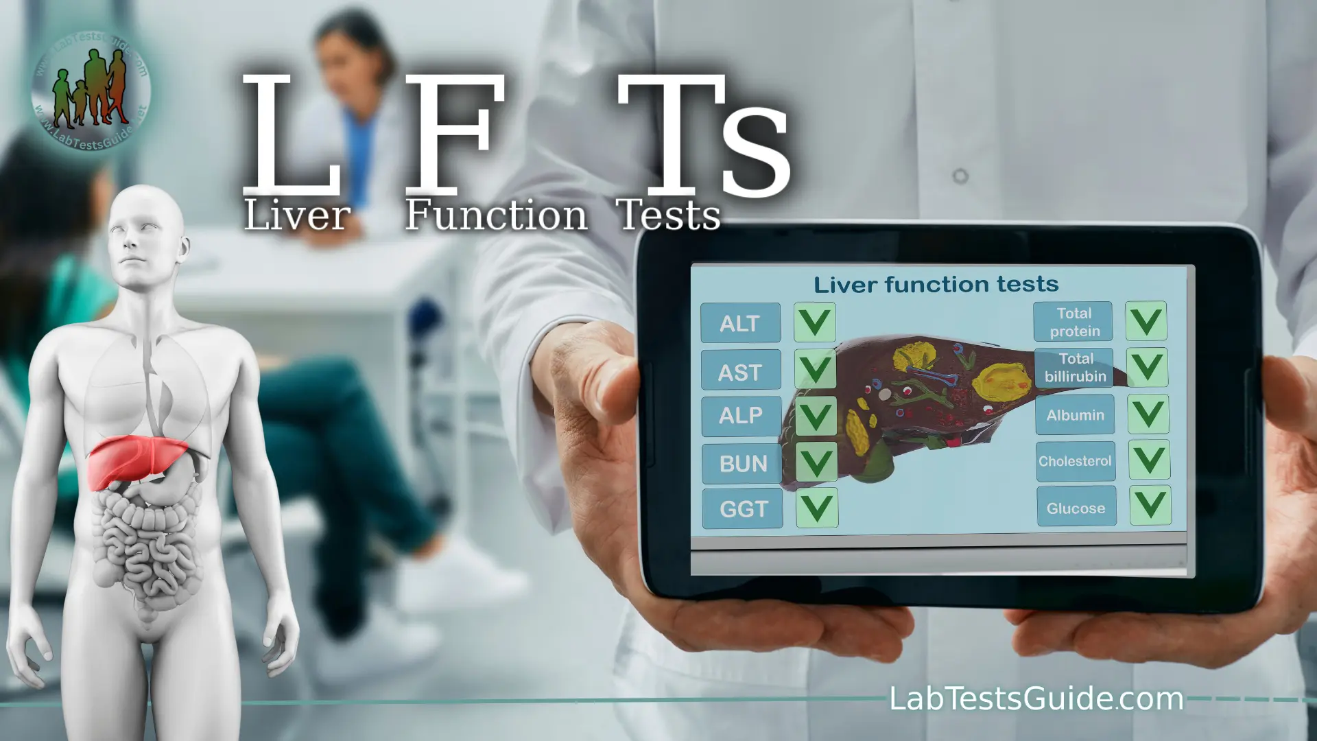 LFT Test Procedure